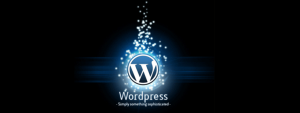 wordpress cms development