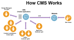 cms design and development